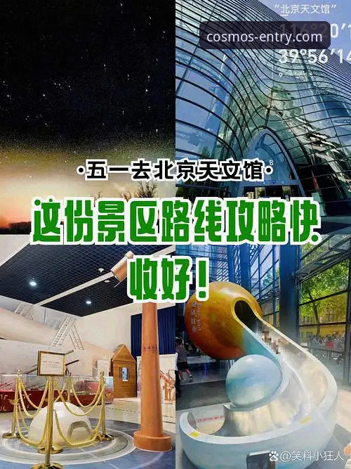 星空入口平台官方使用指南与体验全面评测
