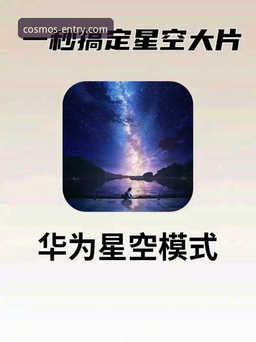 星空官网电脑版使用技巧 星空官网电脑版与手机版:哪个平台的操作效率更高?深度解析使用技巧