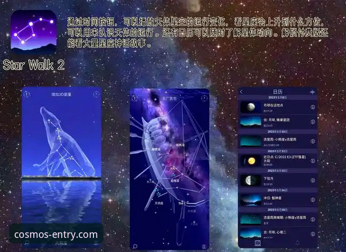 星空入口平台最新动态：iOS官方下载通道全面解析与新手引导